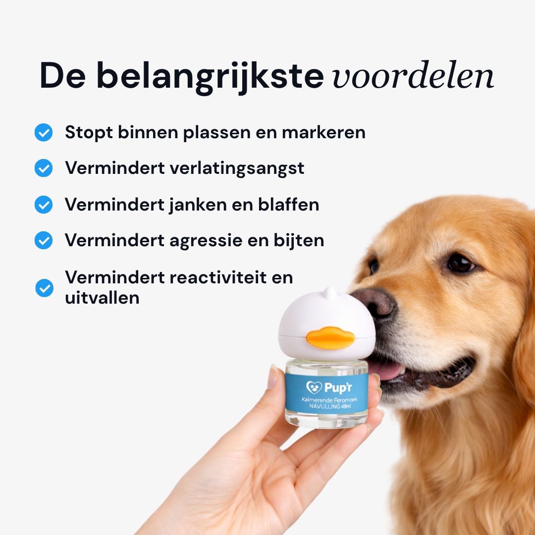 Pupr Calming Diffuser