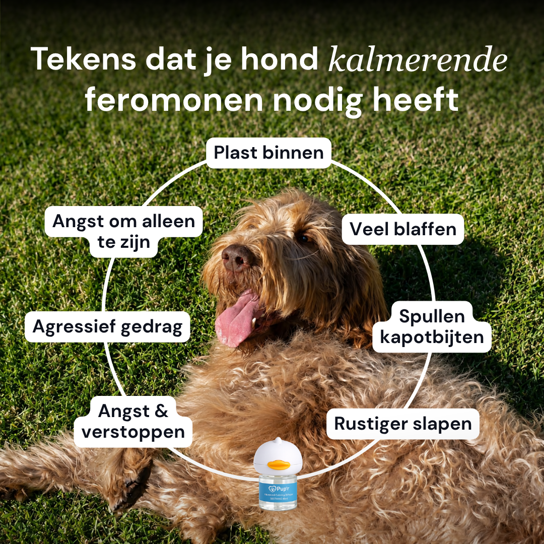Pupr Calming Diffuser