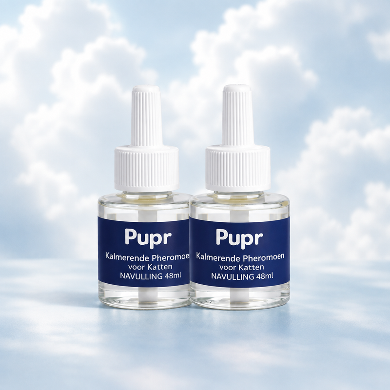 Cat Diffuser Refill